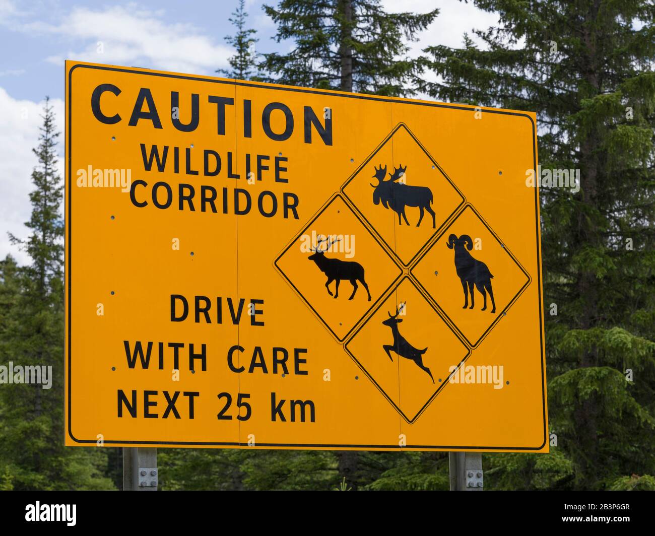 Caution Wildlife Signboard in a forest, Alberta, Canada Stock Photo