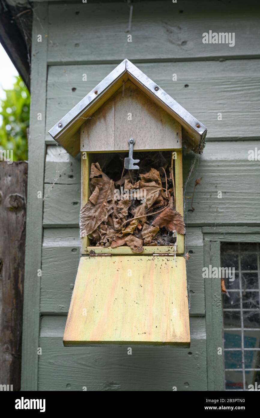 Insect house with the door open on the side of a shed in an English garden. Stock Photo