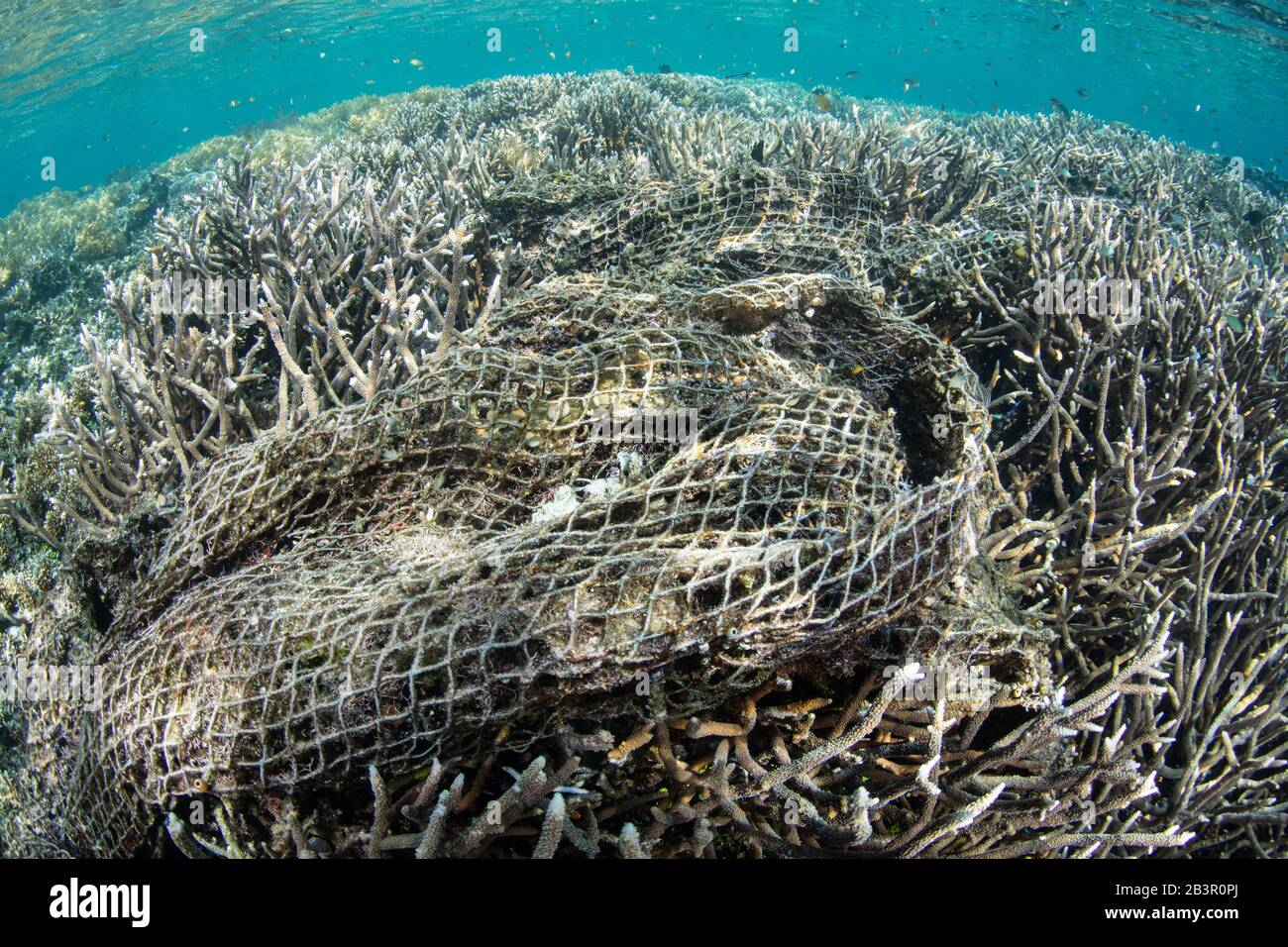 A huge discarded fishing net has become entangled in a shallow coral reef in Raja Ampat, Indonesia. Ghost nets reek much environmental damage. Stock Photo