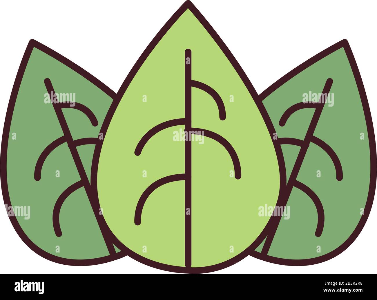natural leaves fill style icon design of Floral nature plant garden ...