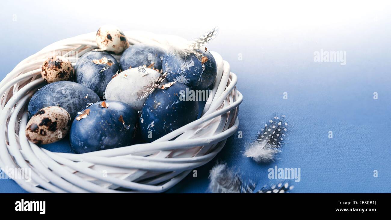 Group Of Light Blue Robin Eggs In Their Nest On A White Background Classic Blue Color Of Year Stock Photo Alamy Group Of Light Blue Robin Eggs In Their Nest On A White Background Classic Blue Color Of Year Stock Photo Alamy