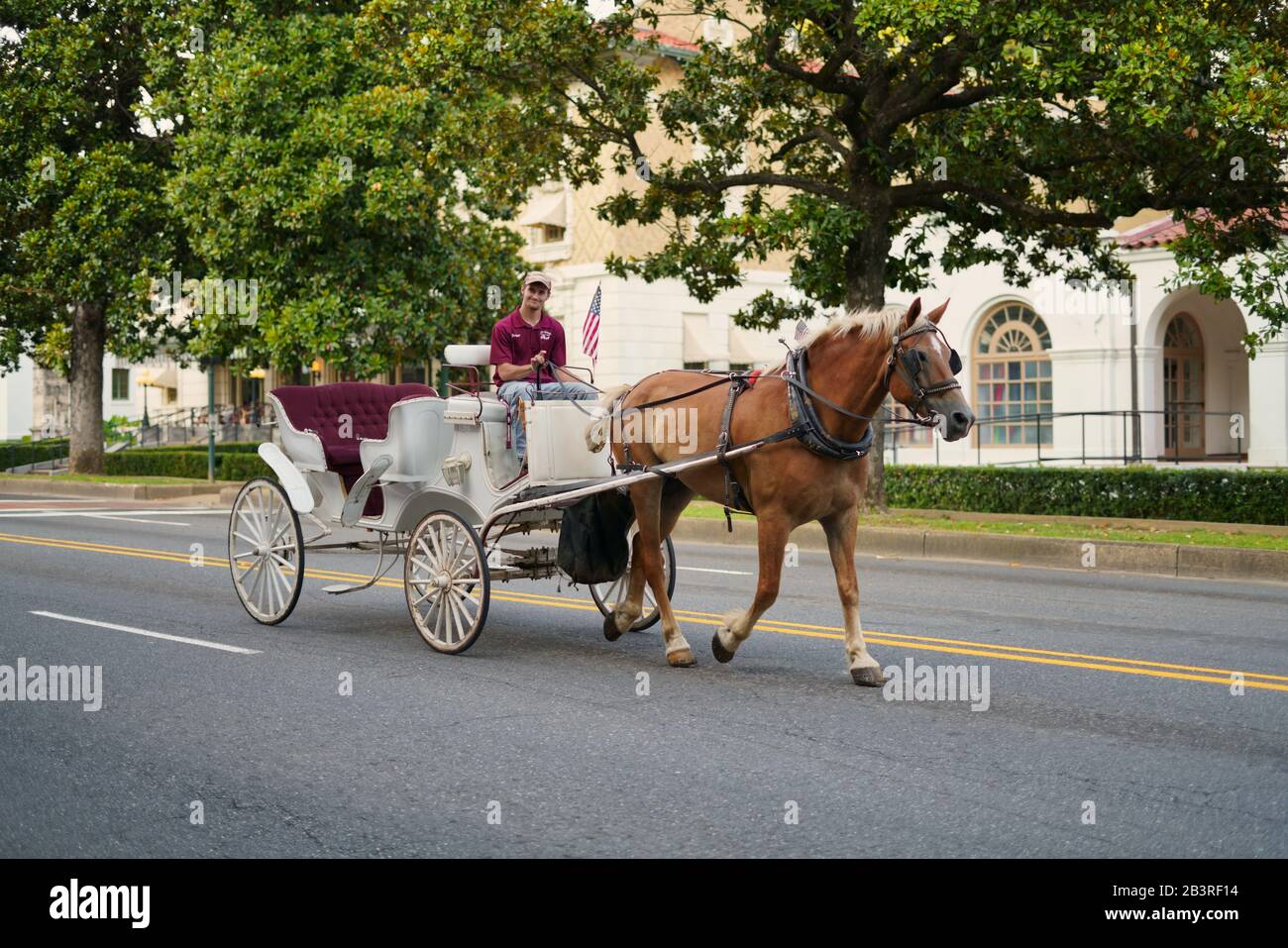 Horsedrawn carriage in downtown Hot Springs, Hot Springs National Park, Arkansas, USA