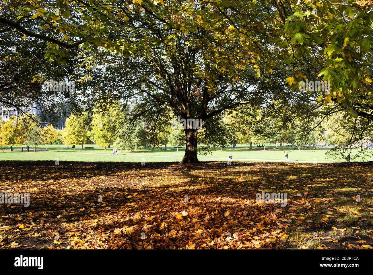 London Parks Stock Photo