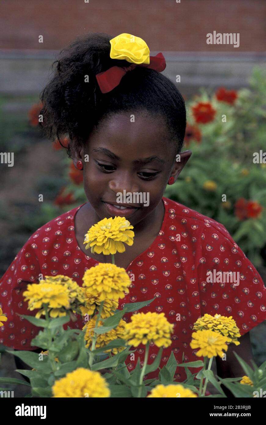 Austin Texas USA, circa 1991 Black child smelling flowers in school
