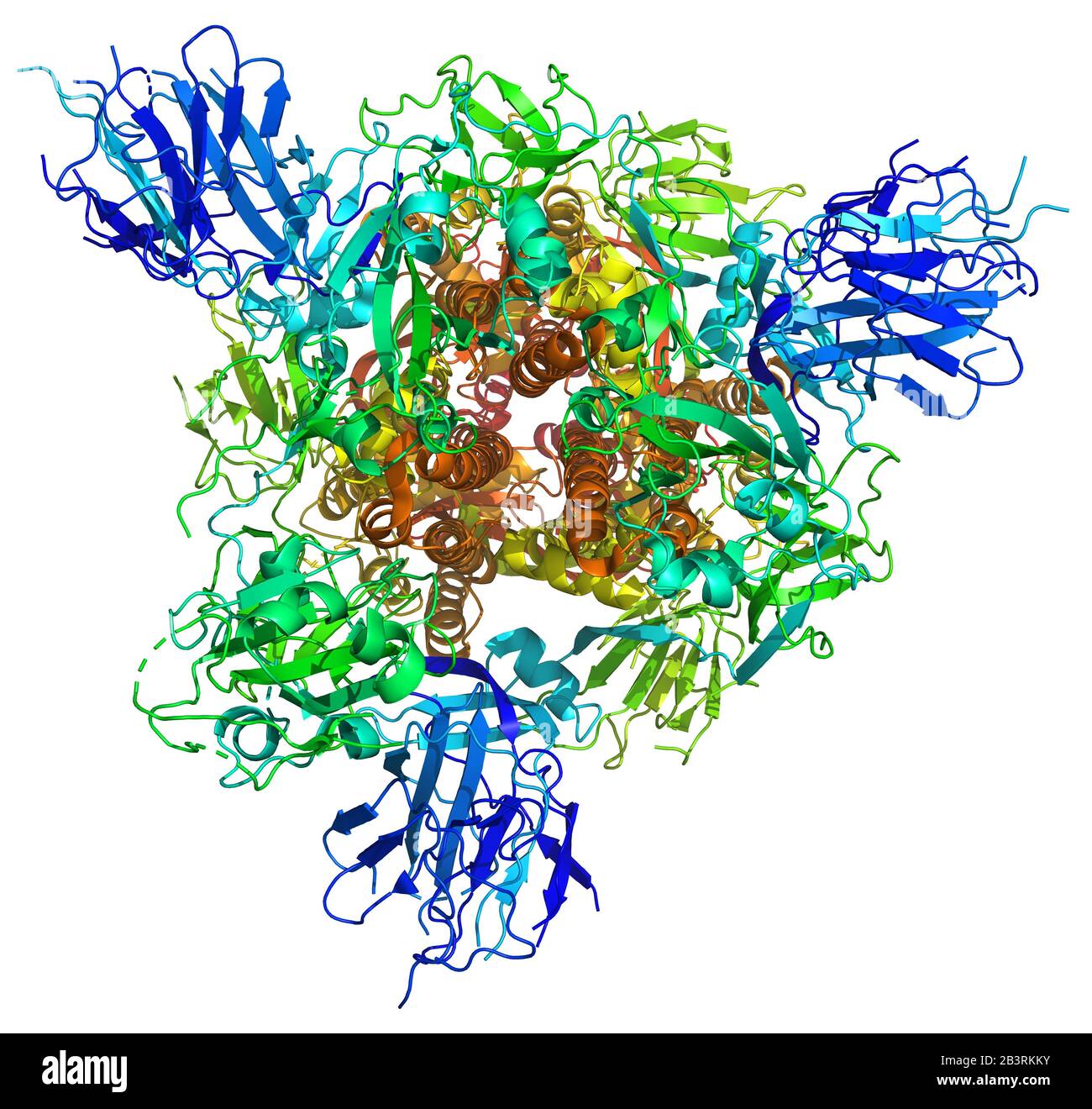 3D structure of the 2019-nCoV coronavirus spike, a target for vaccine against Covid-19. PDB 6VSB Stock Photo