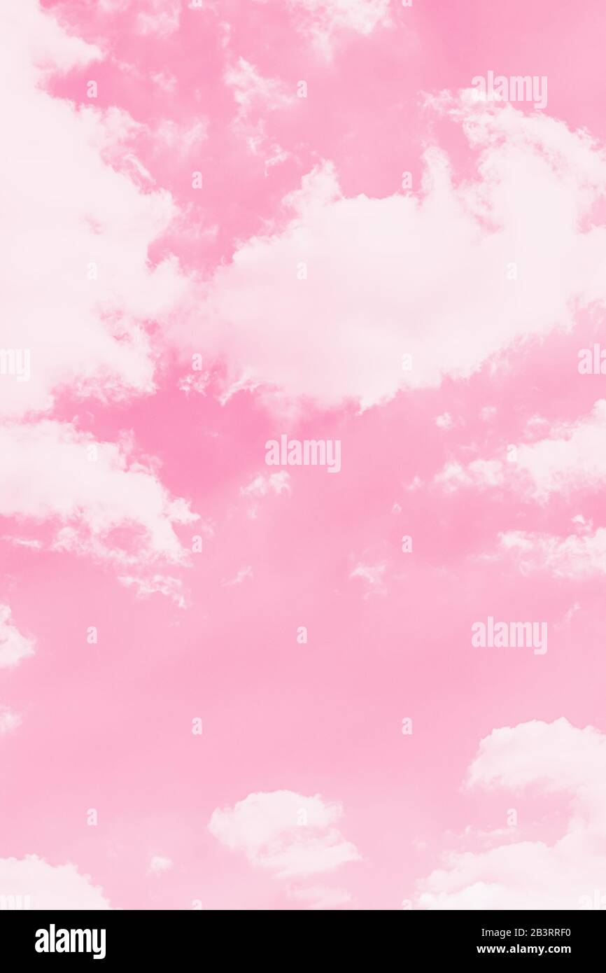 Pink sky background with soft delicate white clouds. Copy space. Romantic  background Stock Photo - Alamy, image size:866x1390