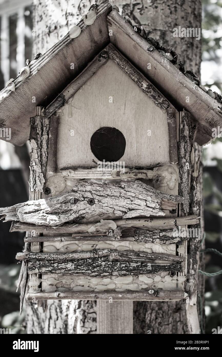 brown wooden birdhouse hanging from tree. Blured background Stock Photo