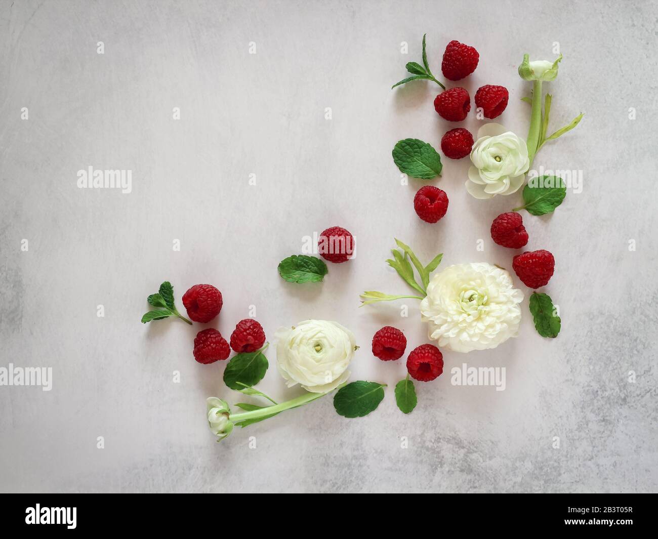 Creative arrangement white blooms and raspberries on a grey background with a copy space Stock Photo