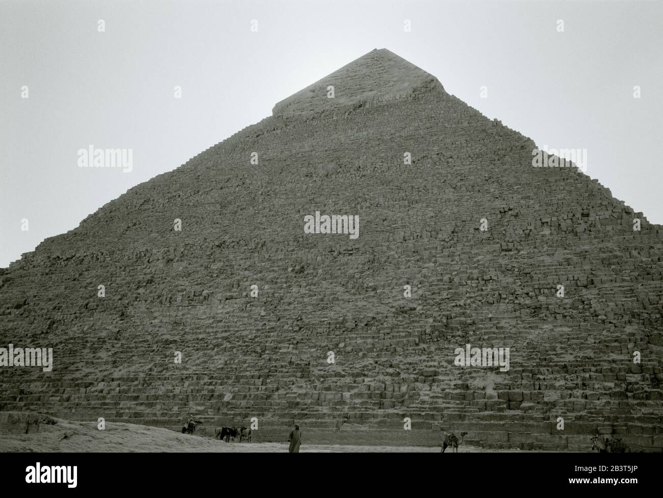 Black dating sites in El Giza