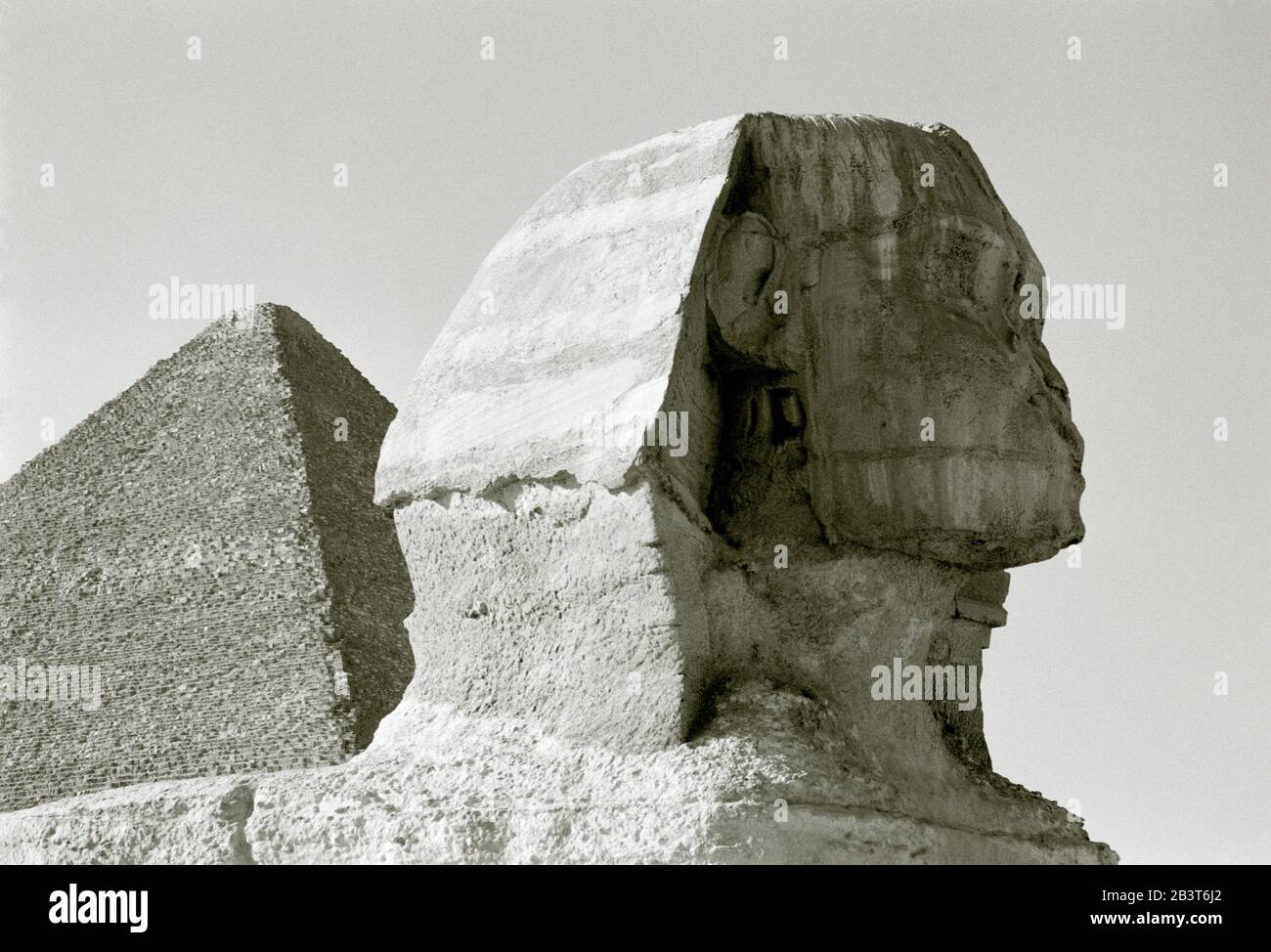 Black And White Travel Photography - The Sphinx and the Great Pyramid Cheops Khufu at the Pyramids of Giza Cairo in Egypt in North Africa Middle East Stock Photo