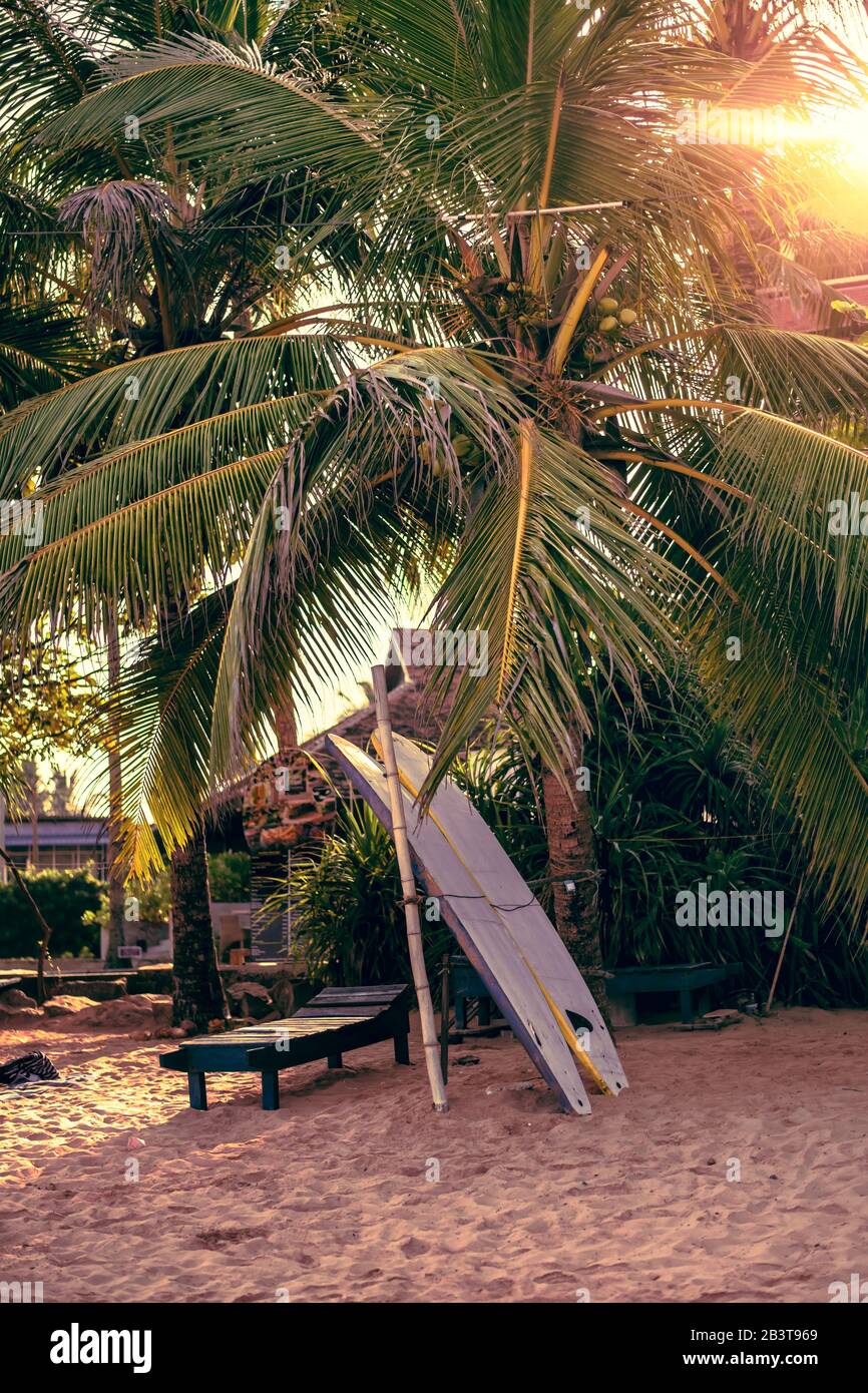 Resting on elbows hi-res stock photography and images - Alamy