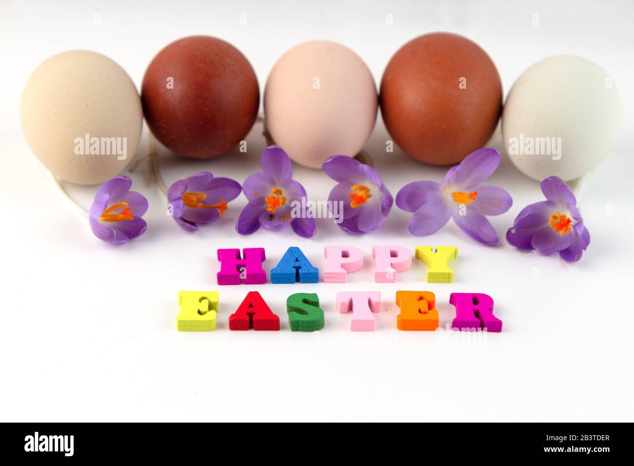 Easter composition with easter eggs, spring flower Saffron crocus and colorful text Happy easter. Greeting card. Stock Photo