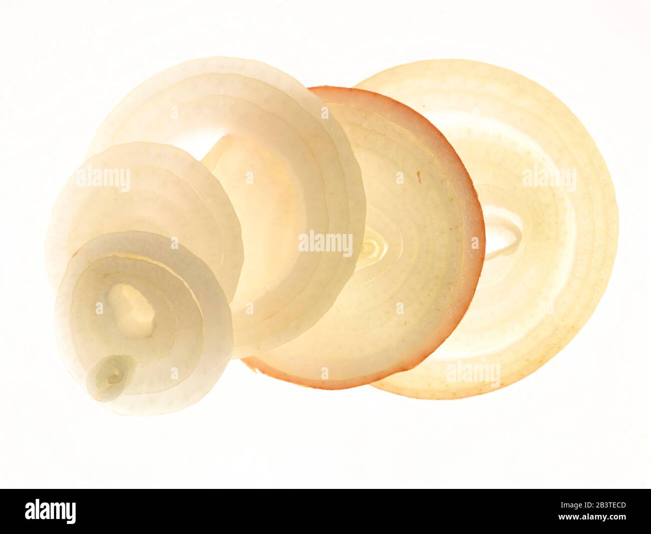 Close up onion rings food ingredient portrait photograph on white background Stock Photo