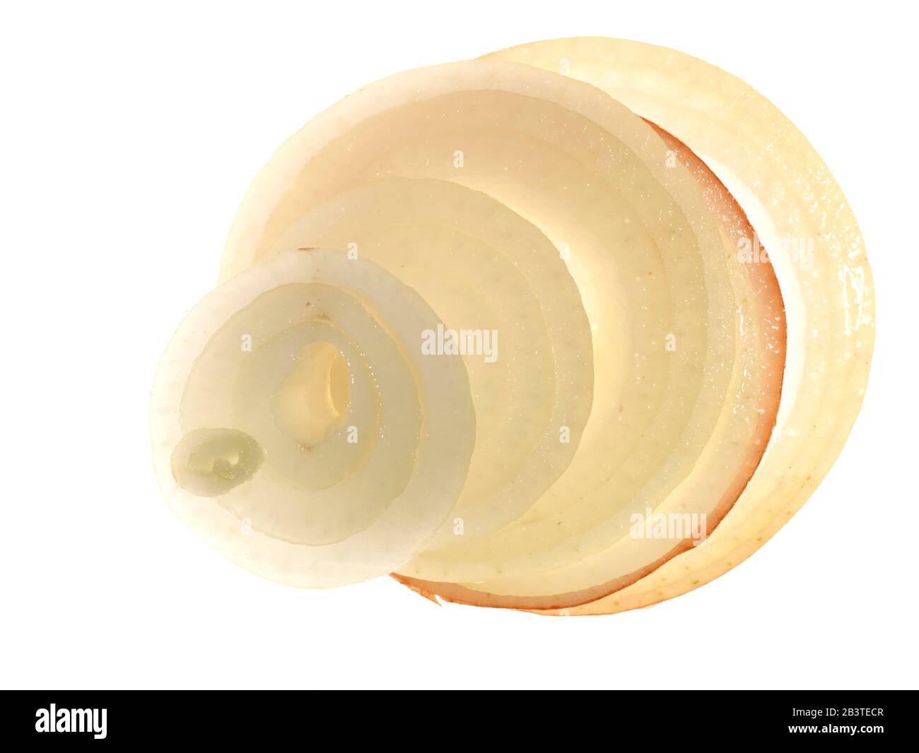 Close up onion rings food ingredient portrait photograph on white background Stock Photo