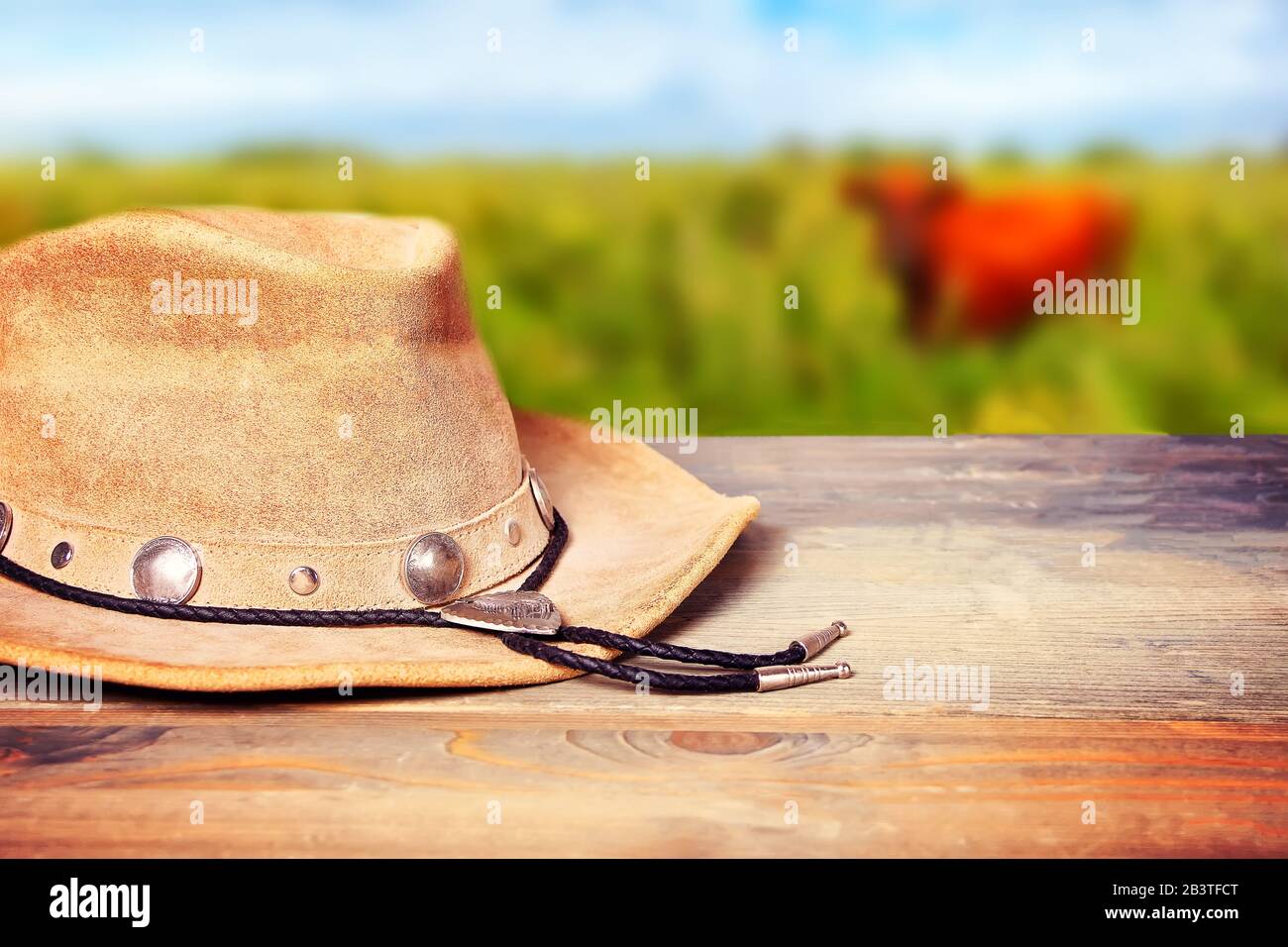 https://c8.alamy.com/comp/2B3TFCT/brown-cowboy-hat-on-a-wooden-table-with-cow-on-the-meadow-on-the-background-2B3TFCT.jpg