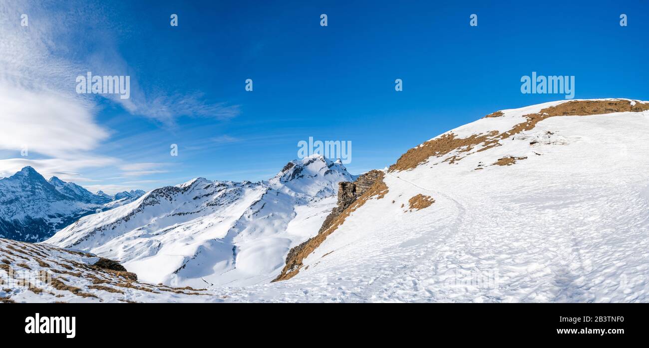 Wide parnoramic view of snow covered Swiss Alps from First mountain in ...