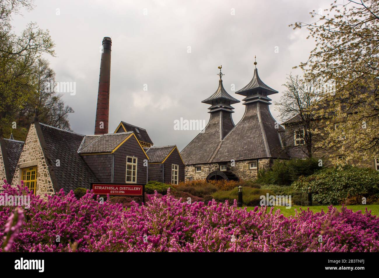 Strathisla Distillery Buildings during Spring on a sunlit morning, Keith, Scotland Stock Photo