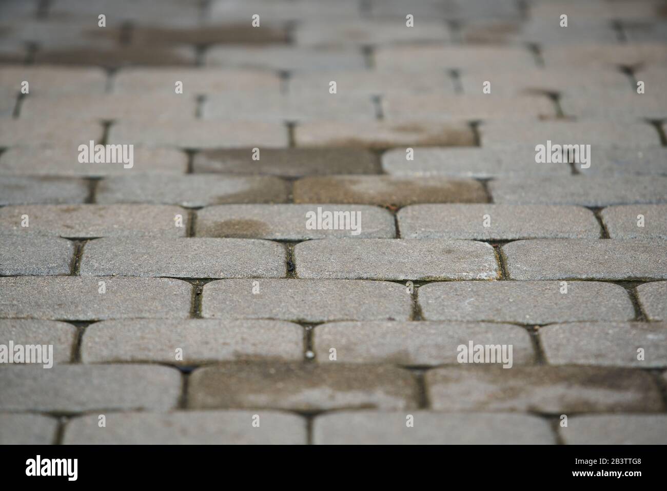 abstract background of cobble stone road making from cement blocks Stock Photo