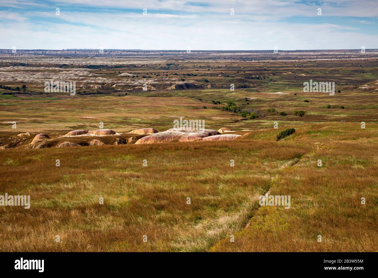 SD00295...SOUTH DAKOTA View of the Badlands Wilderness from Sage