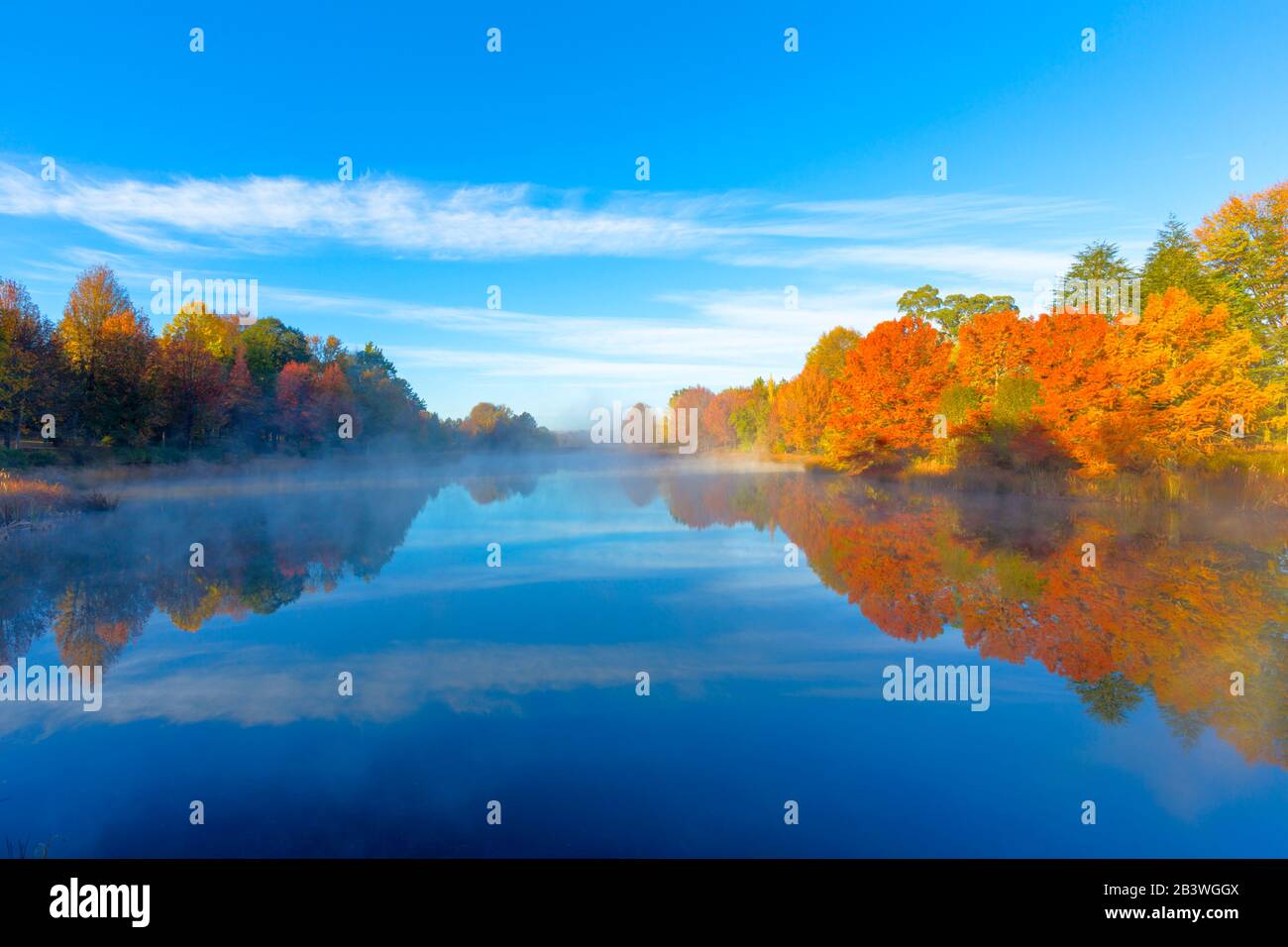 Autumn Trees Reflect On The Water Stock Photo Alamy