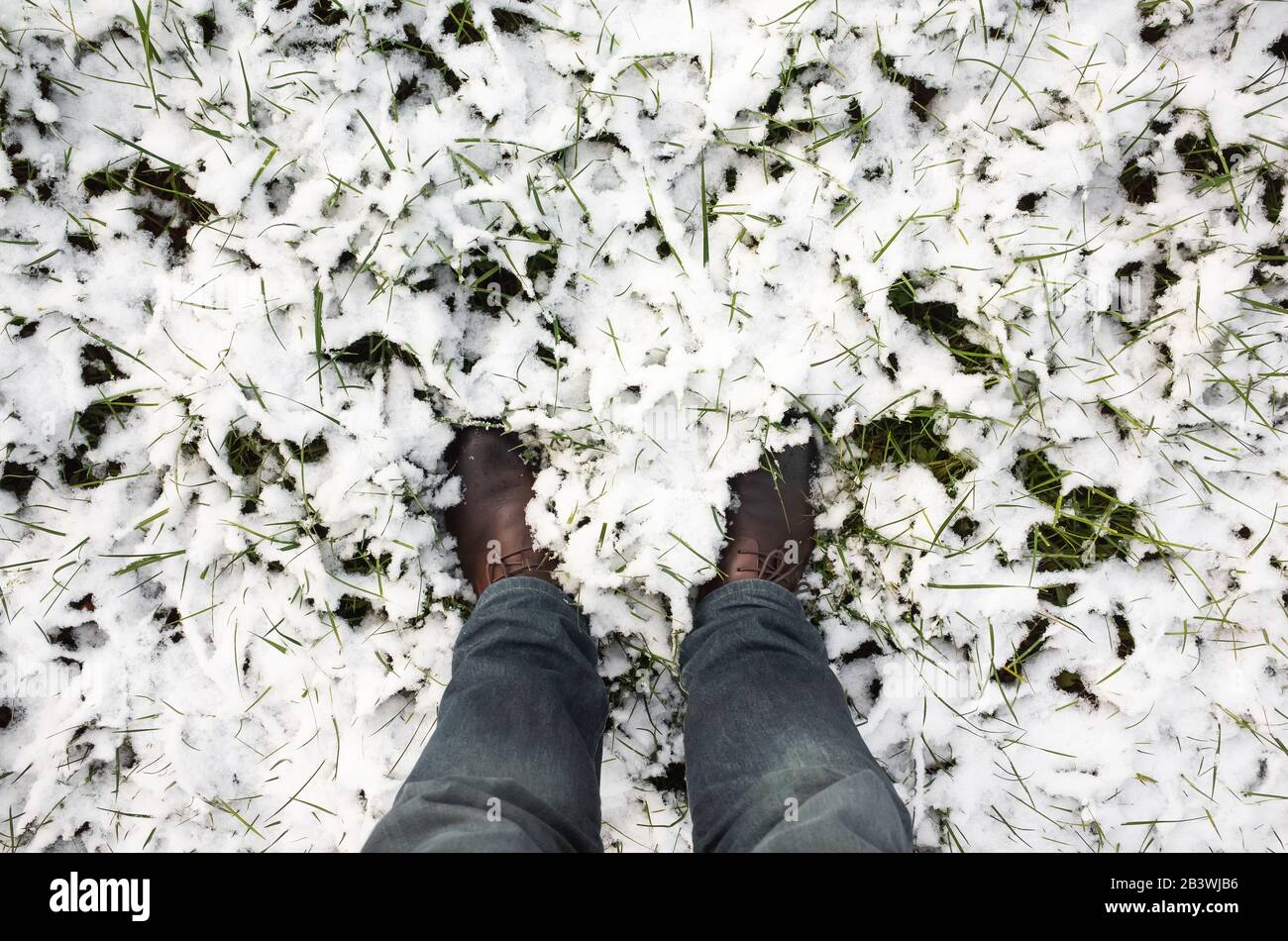 Male feet stand in fresh snow, top view photo, winter walking theme Stock Photo
