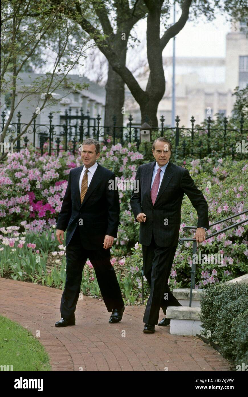 Austin Texas USA, March 6, 1996: After a meeting at the Texas Governor's Mansion, presidential hopeful Bob Dole (right) wins endorsement of Texas Gov. George W. Bush in the Republican primary.  ©Bob Daemmrich Stock Photo