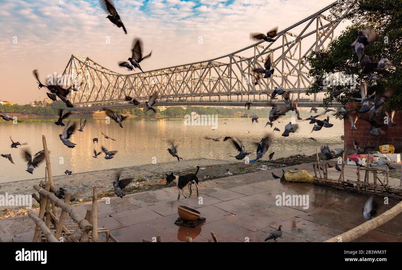 Howrah Bridge is a bridge with a suspended span over the Hooghly River in West Bengal, India. It's also known as Rabindra Setu. Stock Photo
