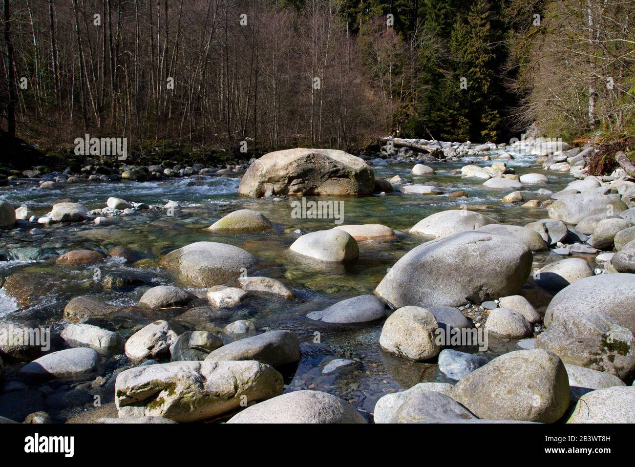 Lynn Creek, Lynn Canyon Park, North Vancouver, BC, Canada Stock Photo