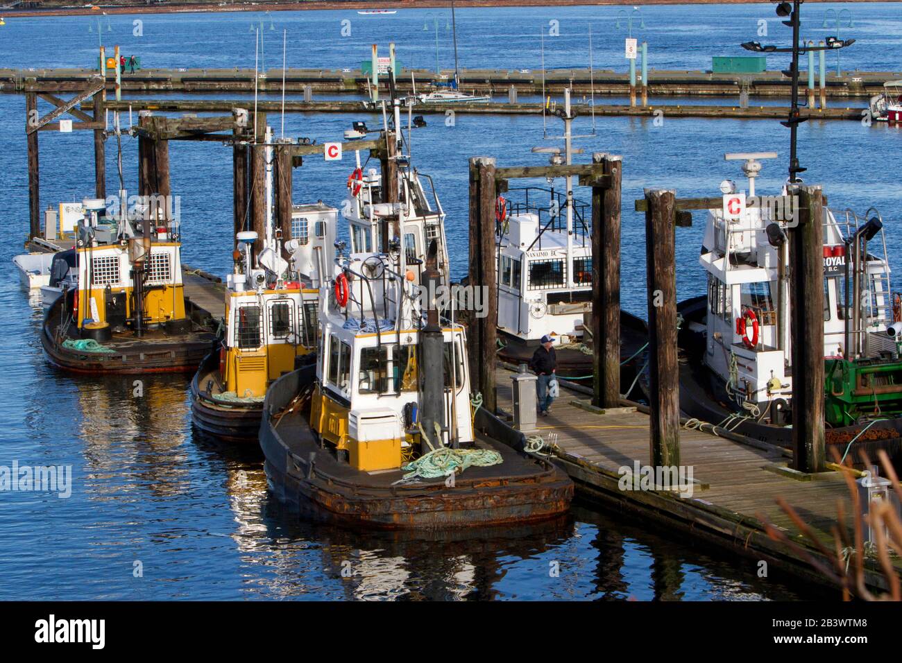 Colourful moored tug boats/boom boats in Nanaimo Harbour, Vancouver Island, BC, Canada Stock Photo