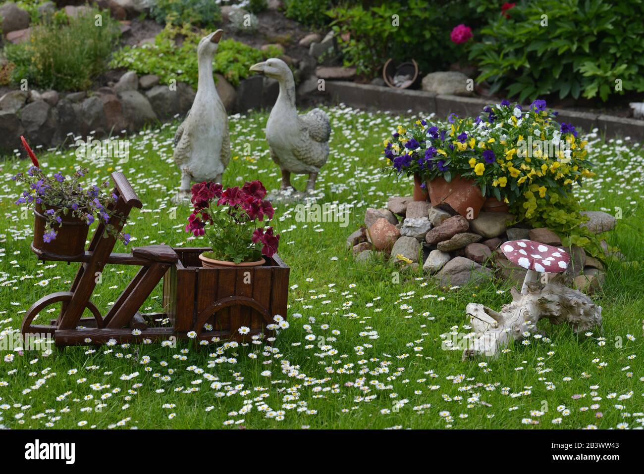 Garten, Wiese Stock Photo