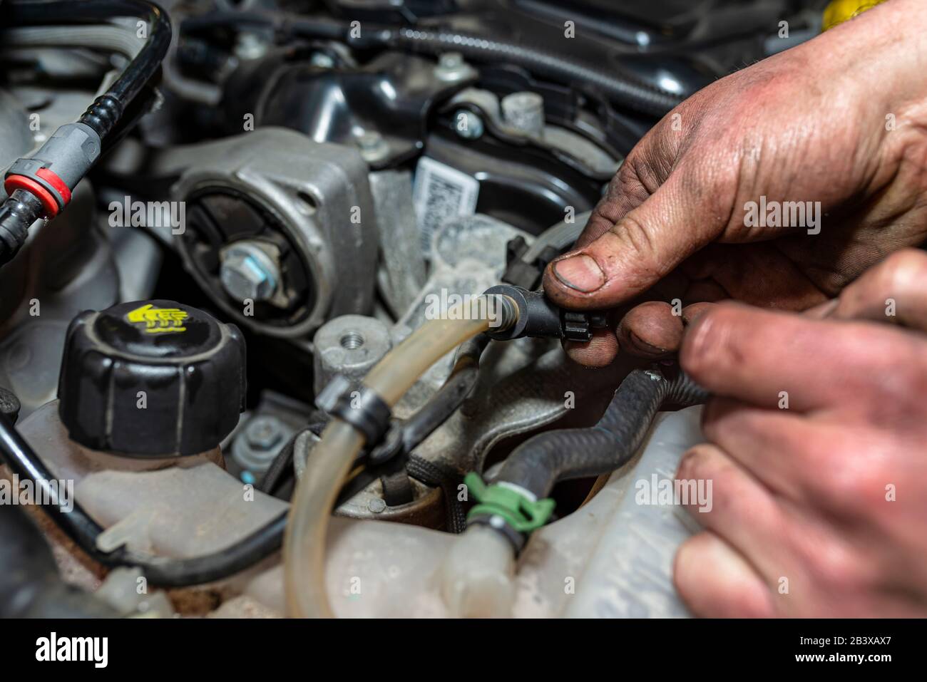 The mechanic bleeds the fuel system with a pump that is on the fuel