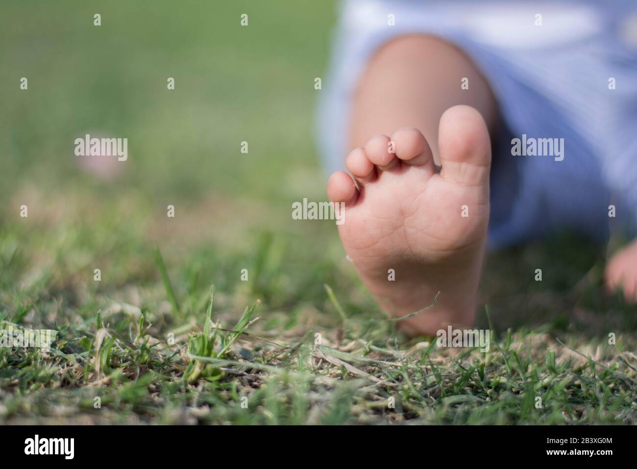 Baby boy playing with his teddy at the park Stock Photo