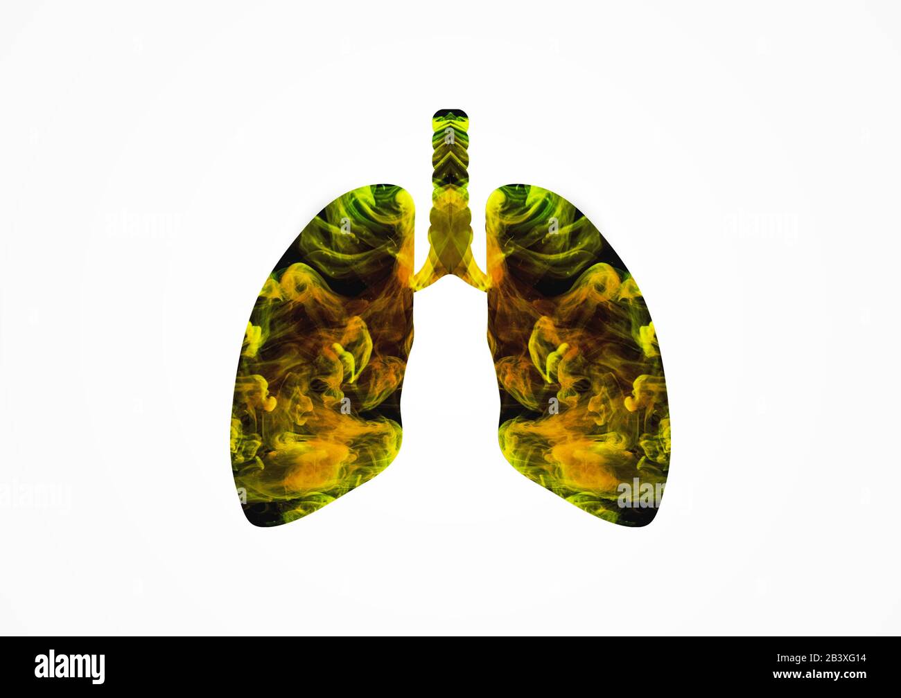 Lungs full of smoke, how cigarettes affect lungs Stock Photo Alamy