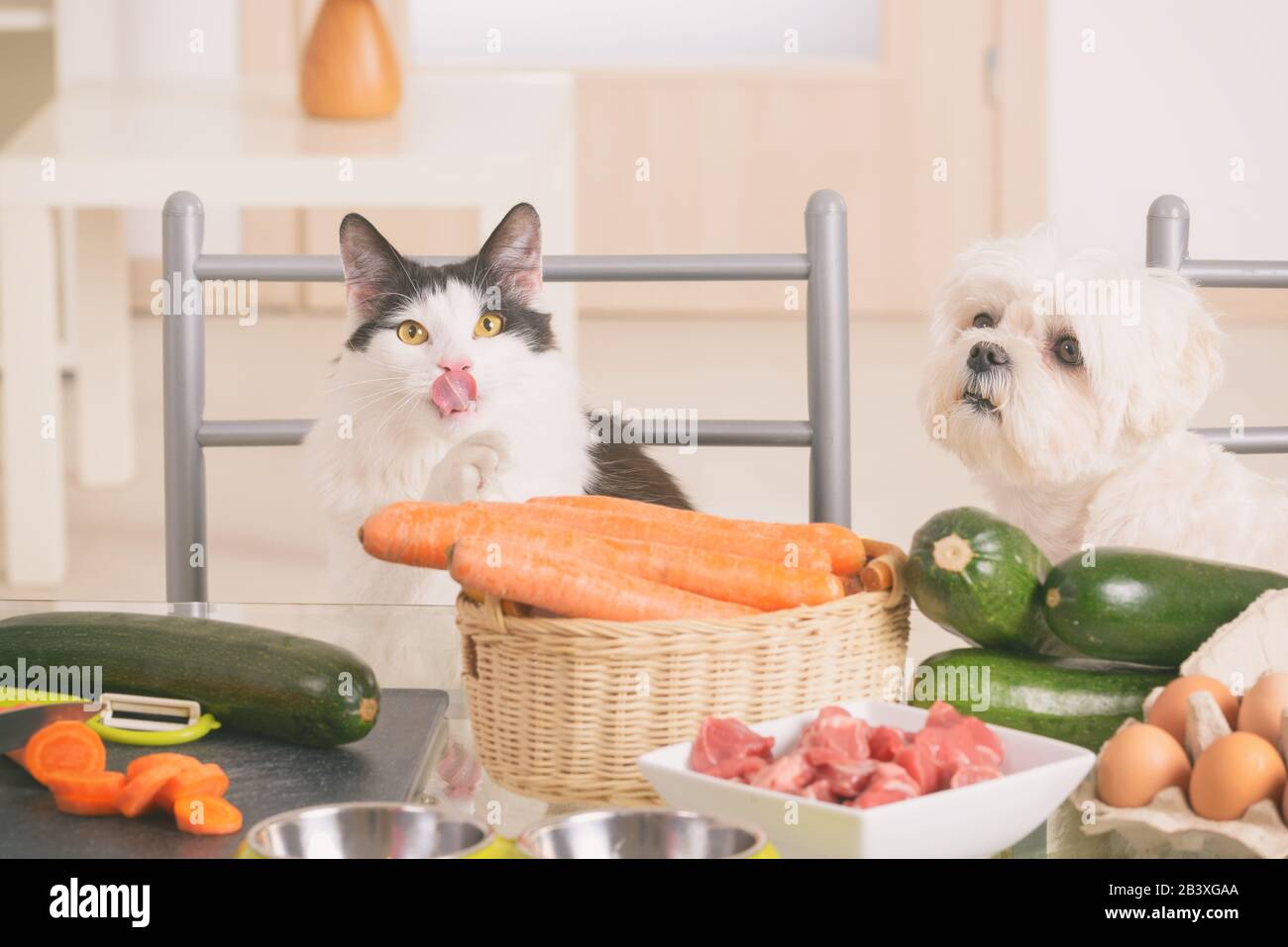 whiskas cat food tins pets at home