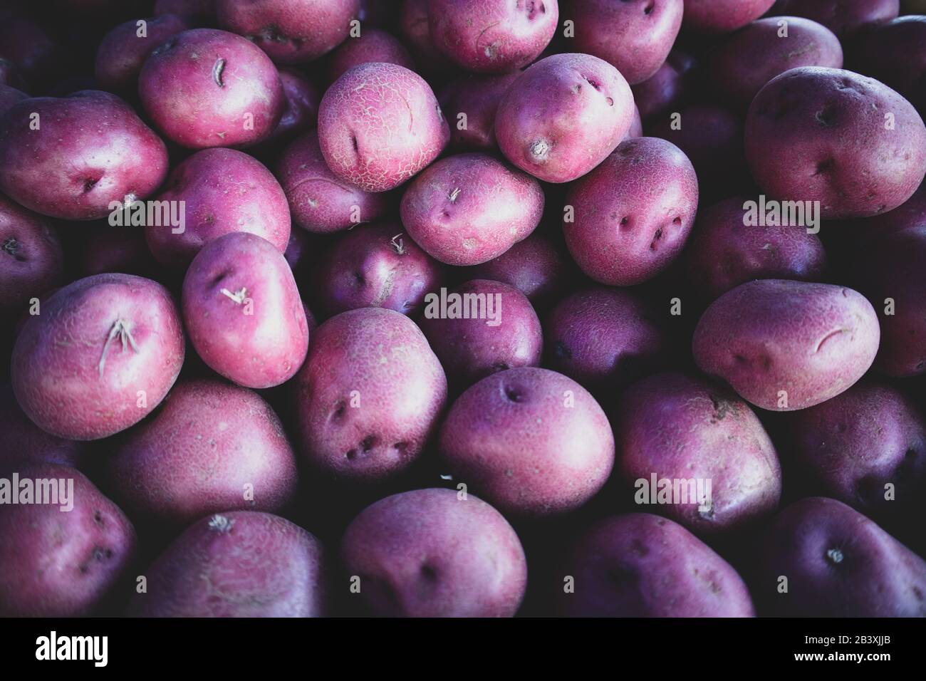 Baby Purple Potatoes at Market Stock Photo