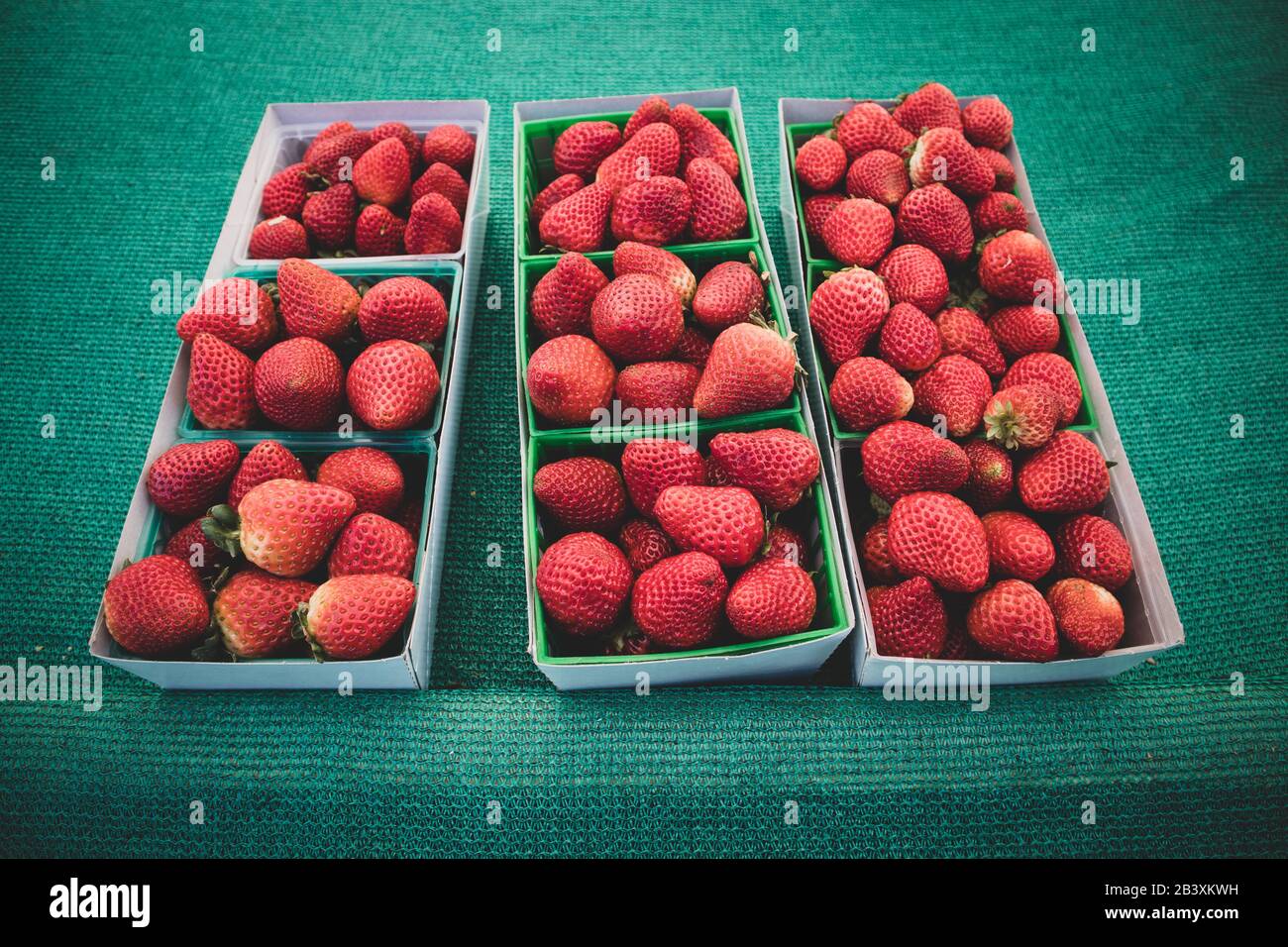 Three Boxes of Strawberries Stock Photo Alamy