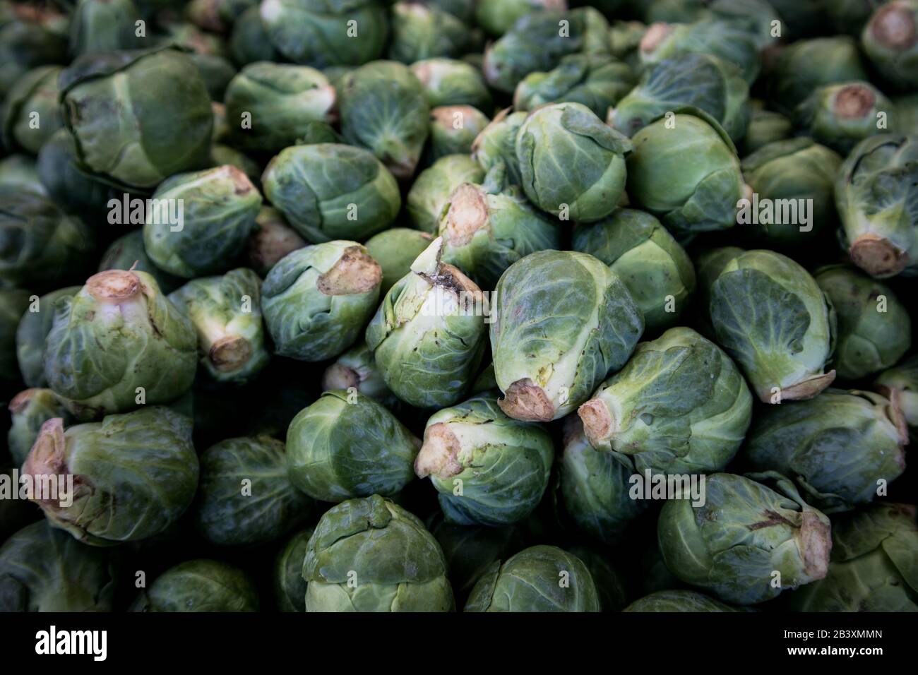 Raw Brussel Sprouts at Market Stock Photo Alamy