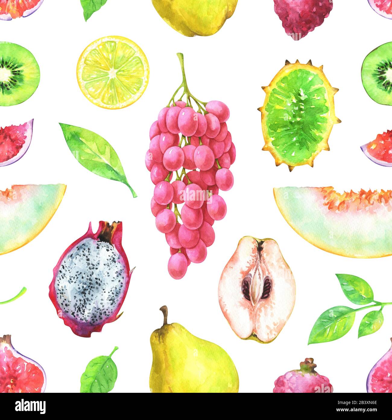 Watercolor dragon fruit hi-res stock photography and images - Alamy