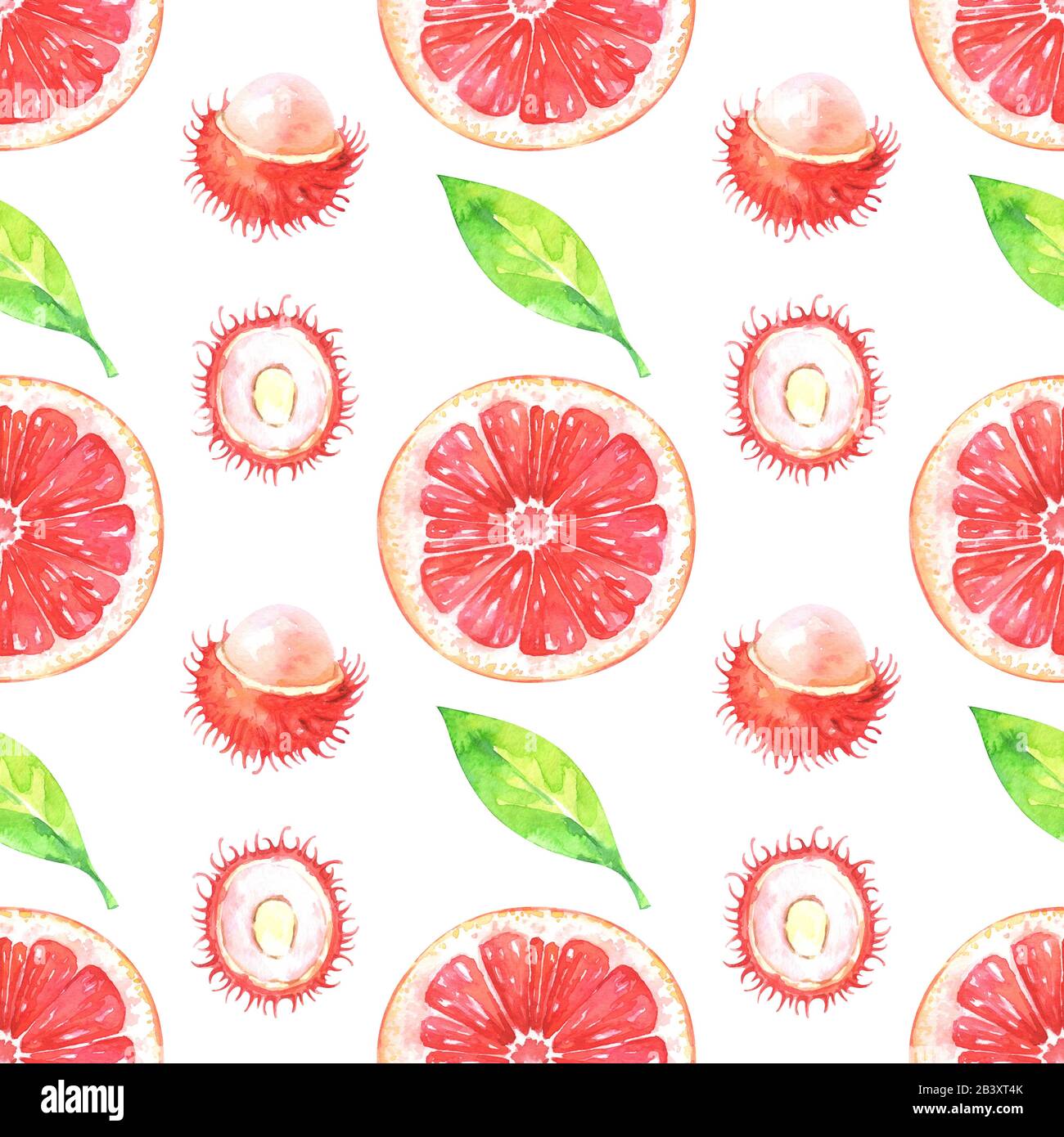 Rambutan leaves hi-res stock photography and images - Alamy