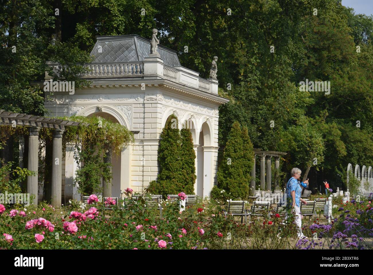 Buergerpark Pankow, Pankow, Berlin, Deutschland / Bürgerpark Stock Photo