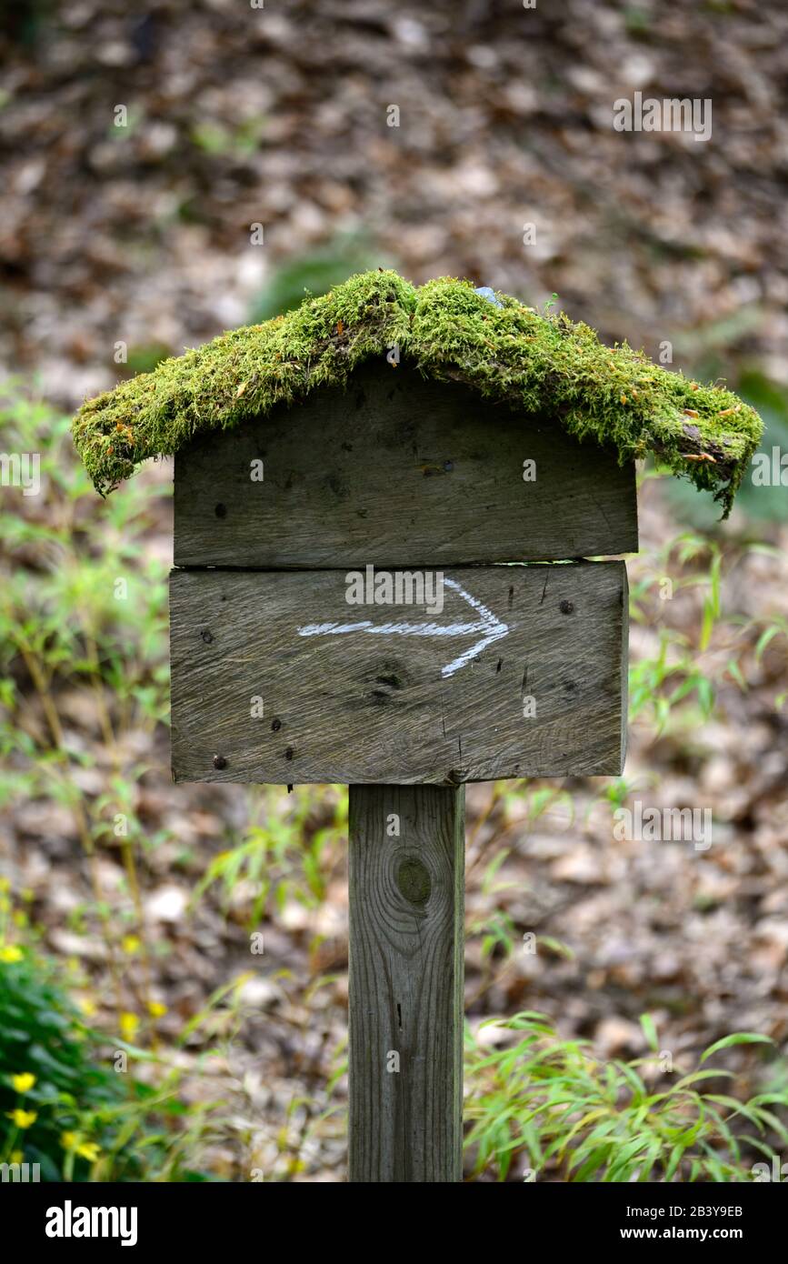 wooden sign,direction,directions,arrow,point in right direction,marker,waymarker,direct,indicate,outdoor,moss covered,RM Floral Stock Photo
