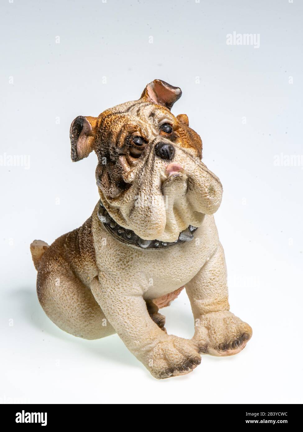 Miniature depicting an English Bulldog breed dog on a white background Stock Photo