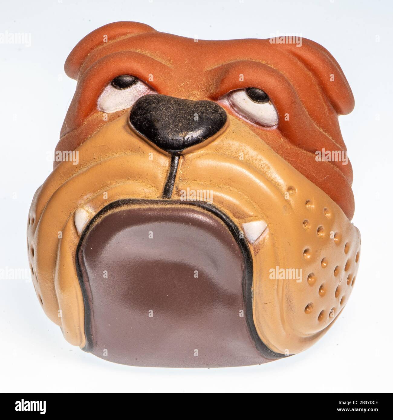 Miniature depicting an English Bulldog breed dog on a white background