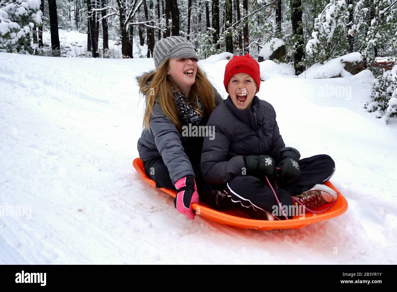 Two siblings have fun and ride a sled together. Stock Photo