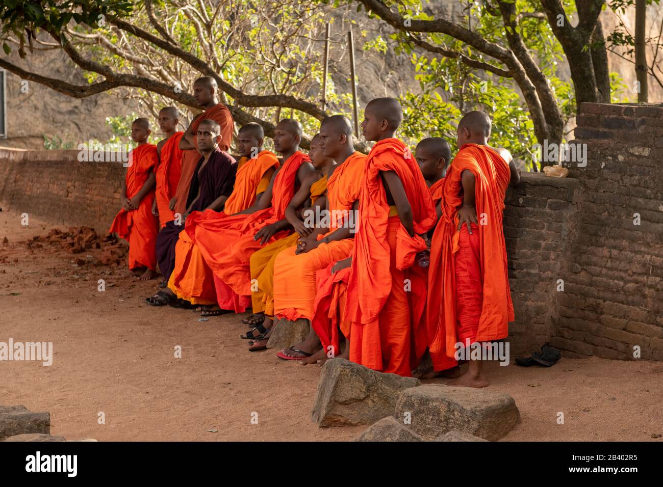A group of Buddhist Monks in their traditional saffron coloured robes, called Kãsāya, wait patiently to climb the ancient fortress of Sigiriya in the Stock Photo