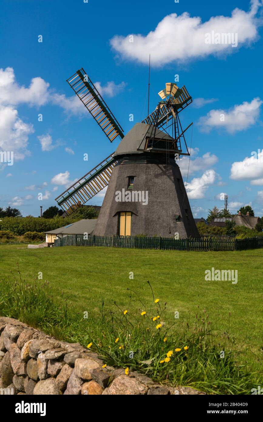 Community of Nebel, North Sea island of Amrum, North Frisia, Schleswig-Holstein, North Germany, Europe Stock Photo