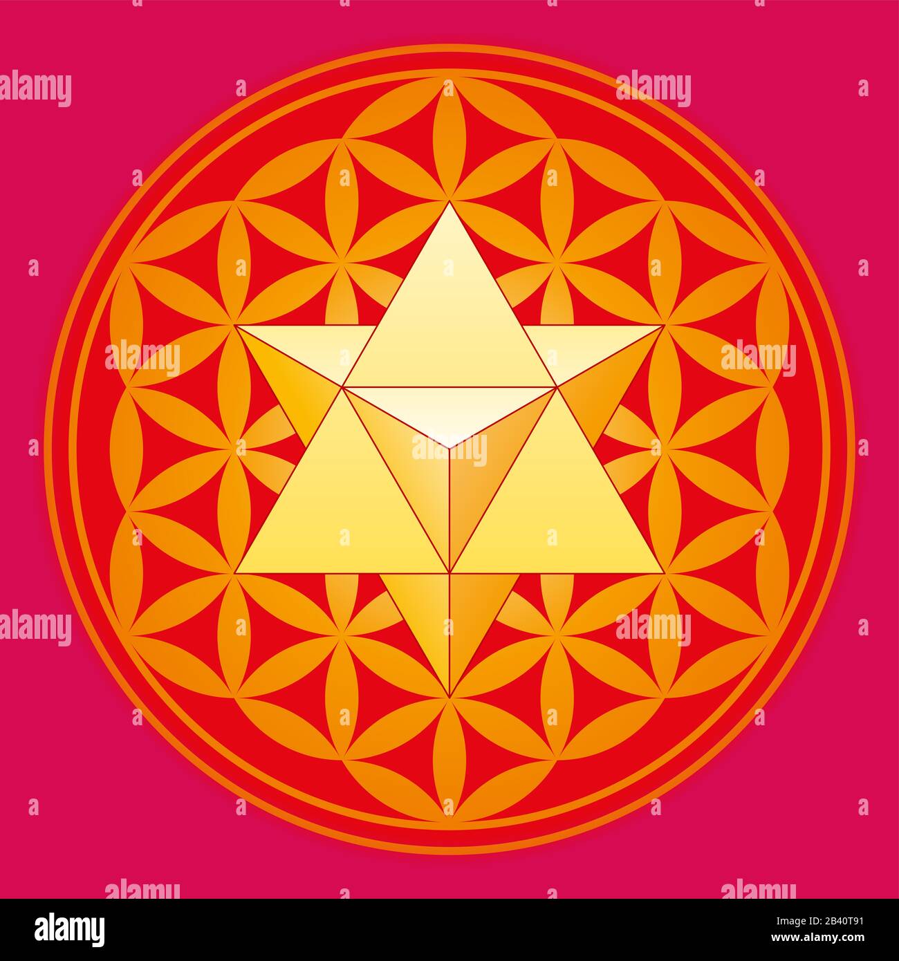 A star tetrahedron also called Merkaba, in the Flower of Life. A double tetrahedron in a geometrical figure, composed of overlapping circles. Stock Photo