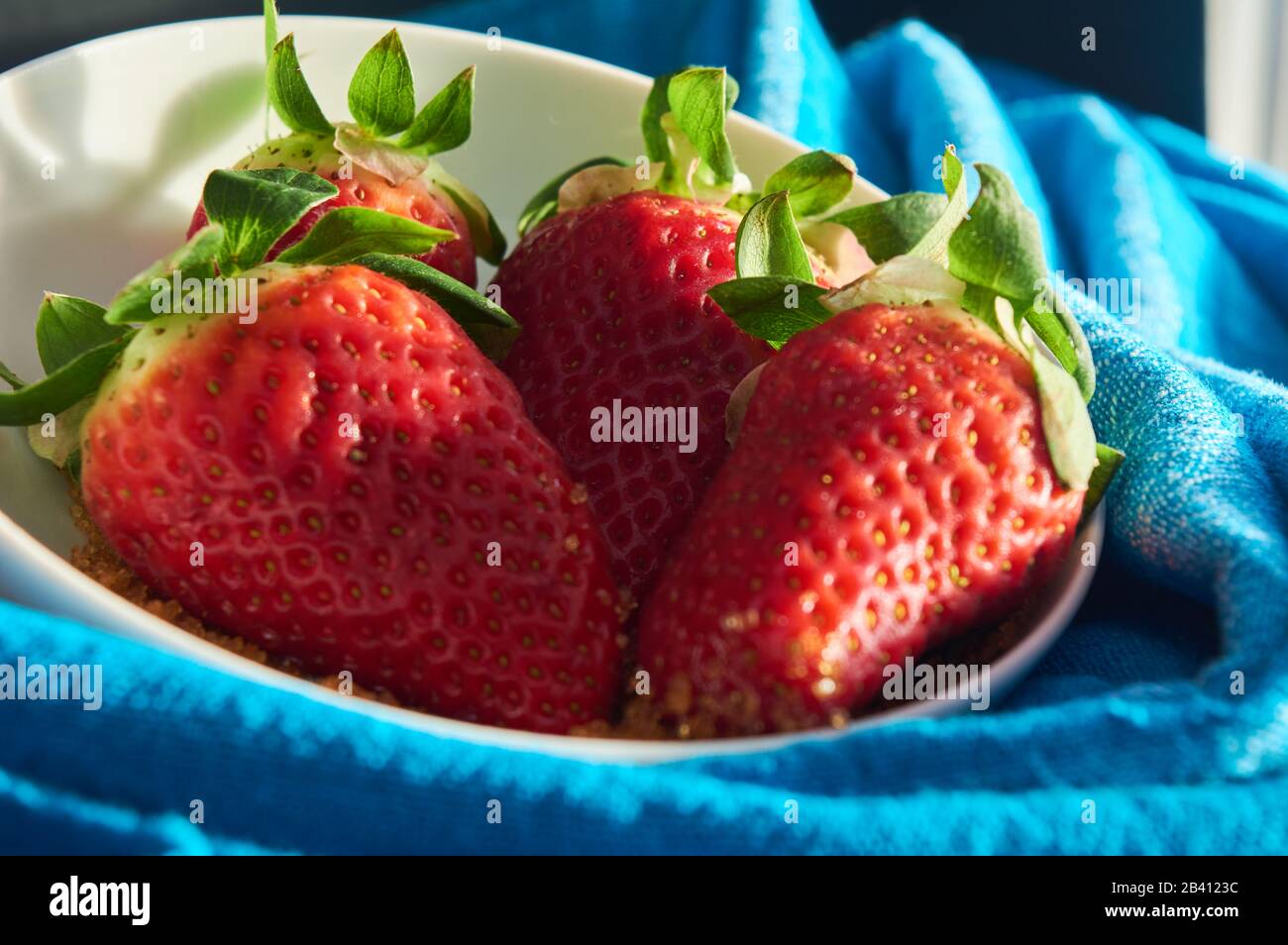 strawberries and cane sugar on blue cloth background, with natural ...