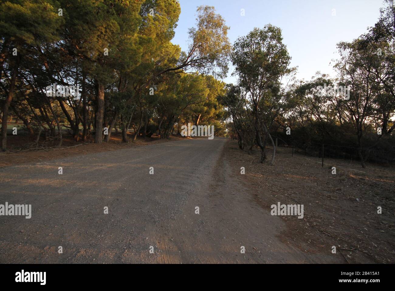 empty road, leading lines Stock Photo