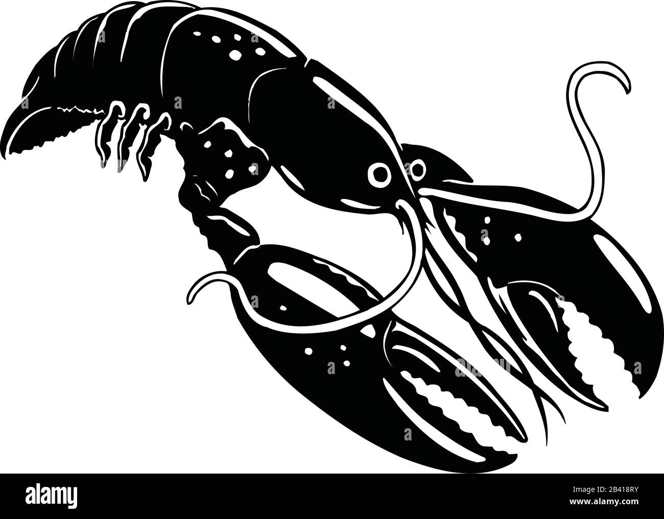 Crawfish Vector Illustration Stock Vector